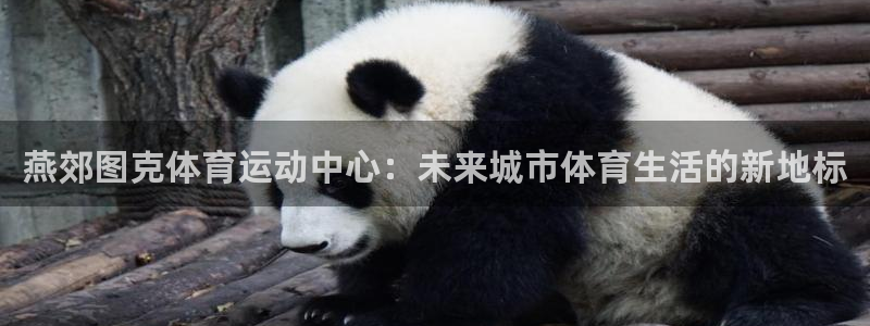 oety欧亿