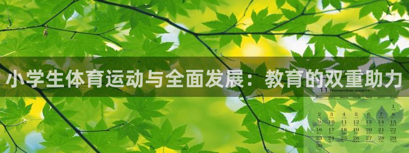 oety欧亿：小学生体育运动与全面发展：教育的双重助力