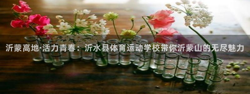 oety欧亿