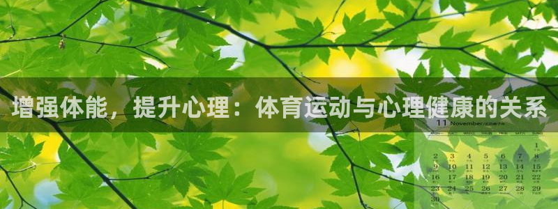 oety欧亿