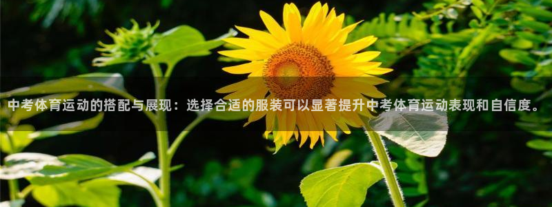 oety欧亿