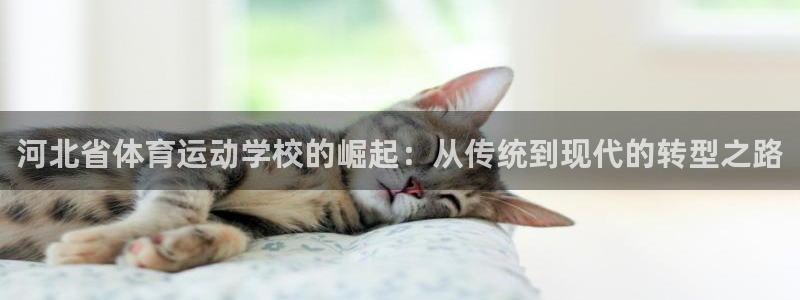 oety欧亿