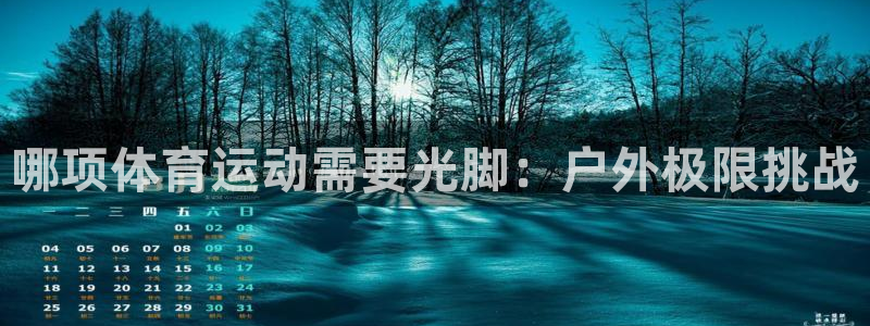 oety欧亿