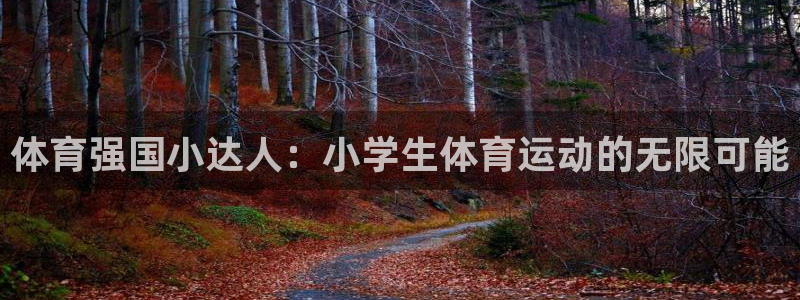 oety欧亿