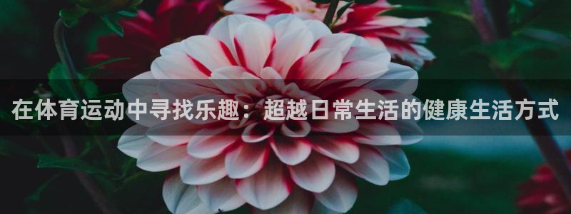 oety欧亿：在体育运动中寻找乐趣：超越日常生活的健康生活方式